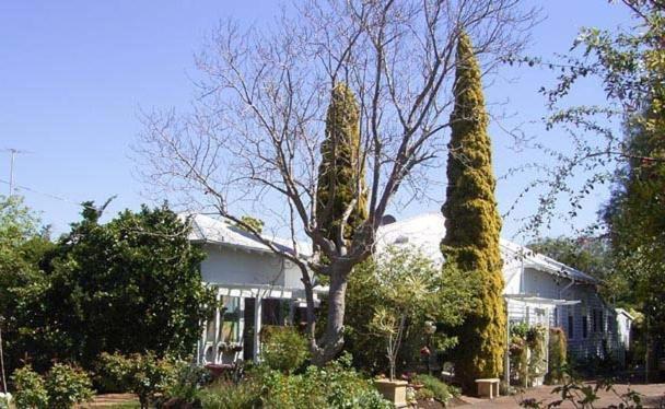Jacaranda Guest House Busselton Exteriér fotografie